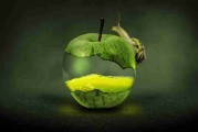 初探·热搜亮点｜鉴黄师官网入口｜沉浸式｜视角升级，鉴黄师是个什么职业