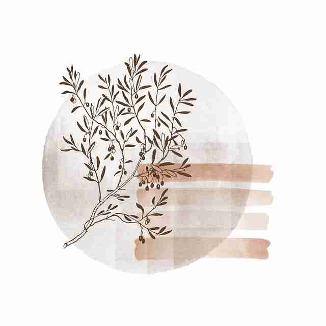 【鉴黄师免费观看】异次元舆论漩涡追本溯源 - 超前解锁，鉴黄师是什么单位